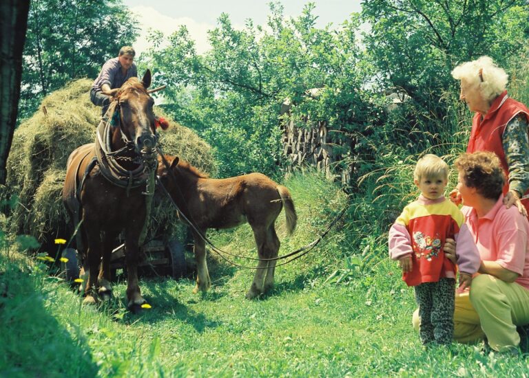 História Baníckeho Domu Špania Dolina