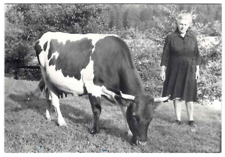 História Baníckeho Domu Špania Dolina