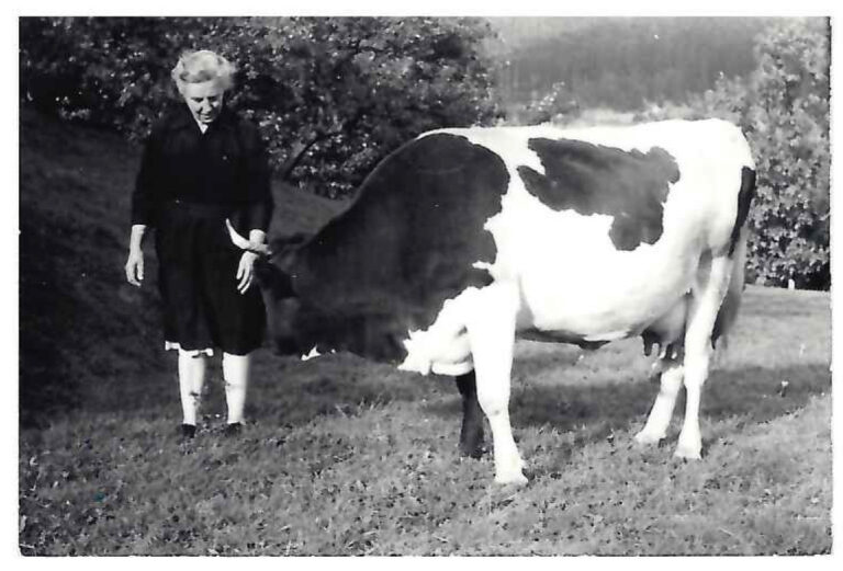 História Baníckeho Domu Špania Dolina